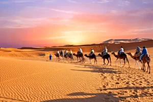 Camel Riding – Traditional Desert Experience